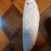 продаю рыбу омуль, чир, муксун и т.д в Иркутске 6