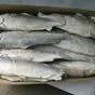 свежемороженая рыба опт и розница в Иркутске 3