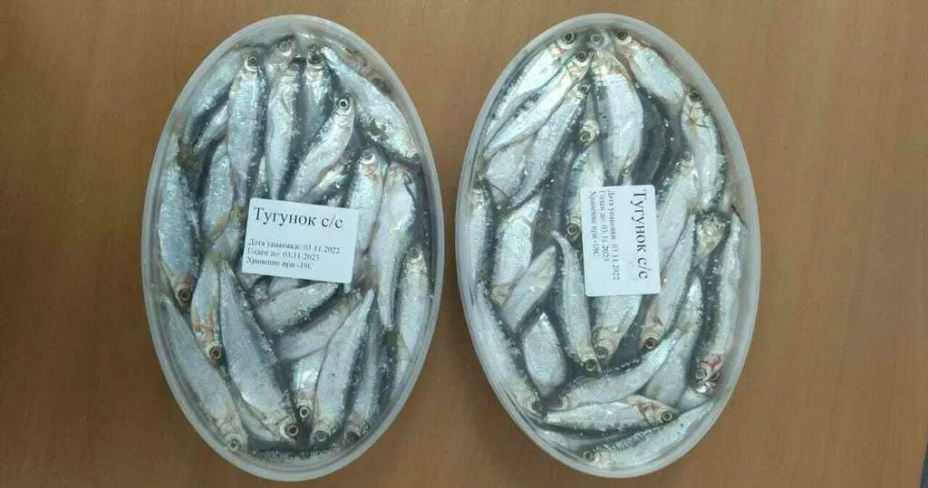 свежемороженая рыба опт и розница в Иркутске